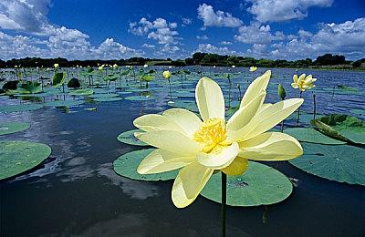 《我的世界》成英国第三畅销的NS游戏 仅次于马车8和动森